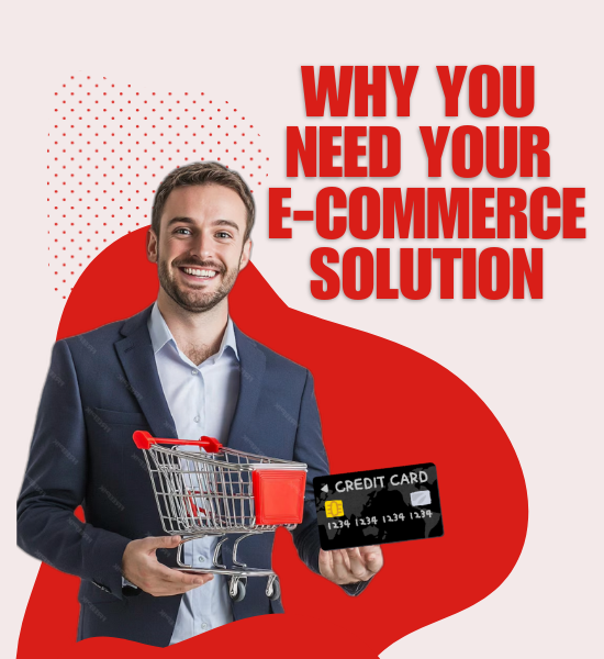 why-do-you-need-e-commerce-solution